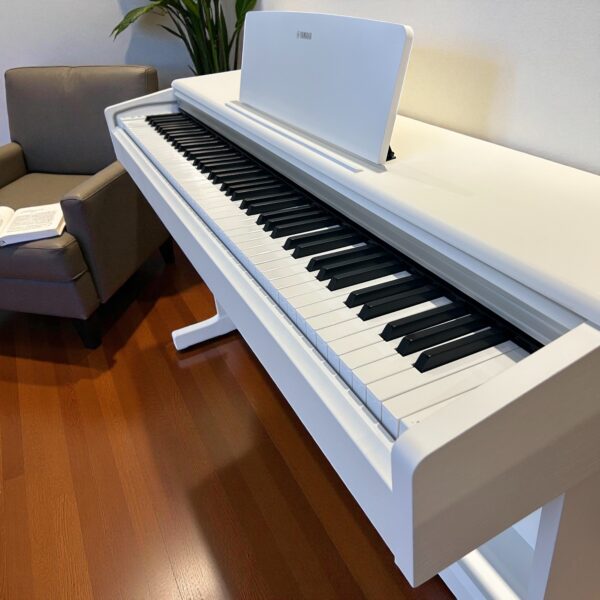 1512x1512-Photoroom (49)