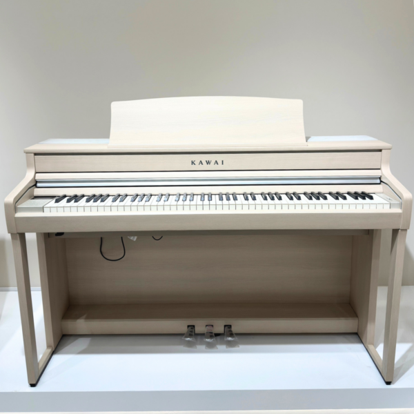 KAWAI CA501