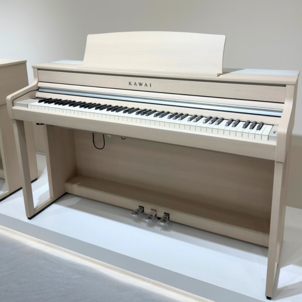 KAWAI CA501