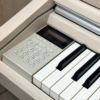KAWAI CA501
