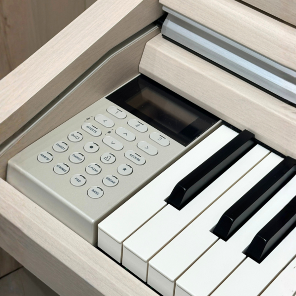 KAWAI CA501
