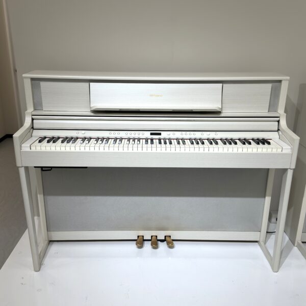 IMG_0938 ROLAND LX705