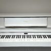 IMG_0940 ROLAND LX705
