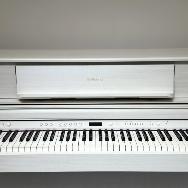 IMG_0940 ROLAND LX705