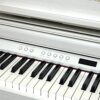 IMG_0941 ROLAND LX705