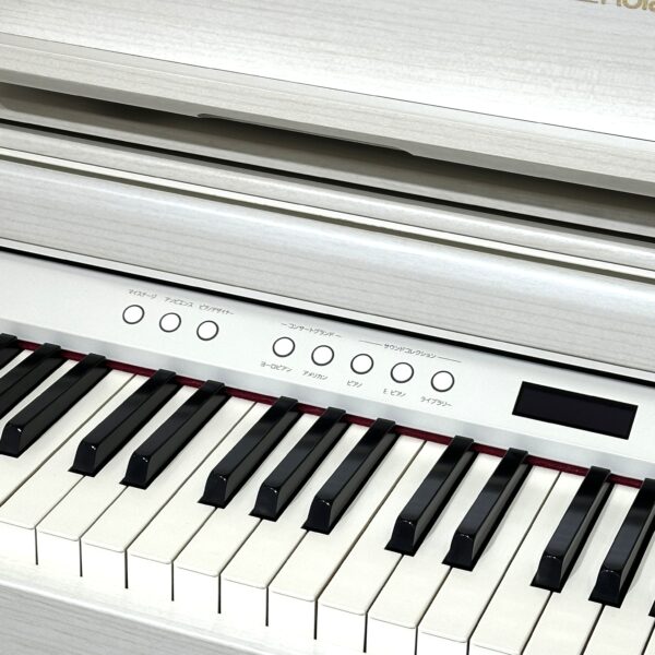 IMG_0941 ROLAND LX705