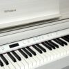 IMG_0943 ROLAND LX705