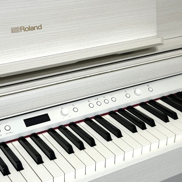IMG_0943 ROLAND LX705