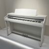 IMG_0952 KAWAI CA48