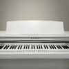 IMG_0954 KAWAI CA48