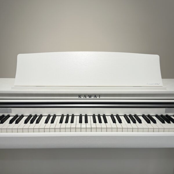 IMG_0954 KAWAI CA48
