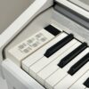 IMG_0955 KAWAI CA48