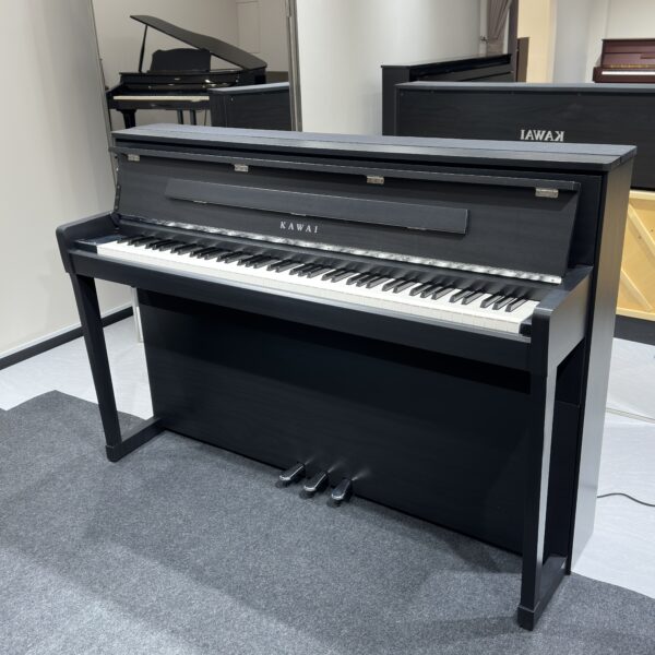 IMG_0958 KAWAI CA9900GP