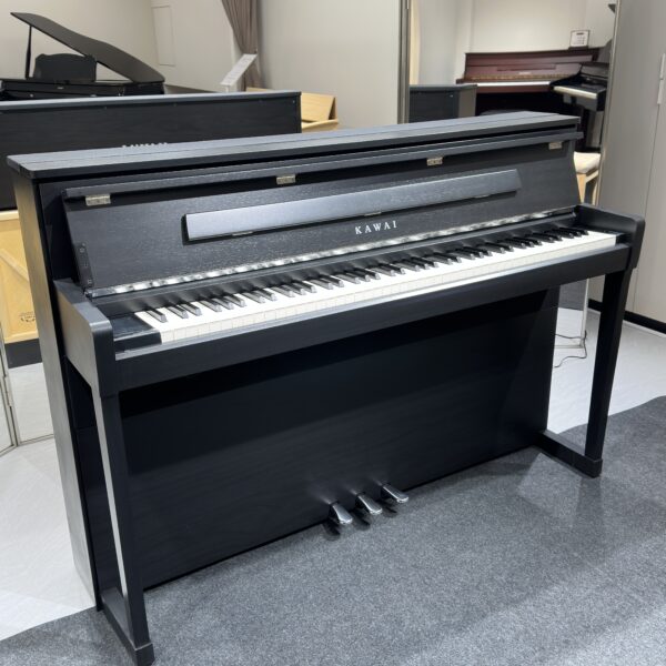 IMG_0959 KAWAI CA9900GP
