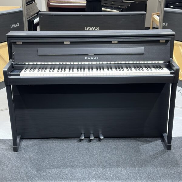 IMG_0960 KAWAI CA9900GP