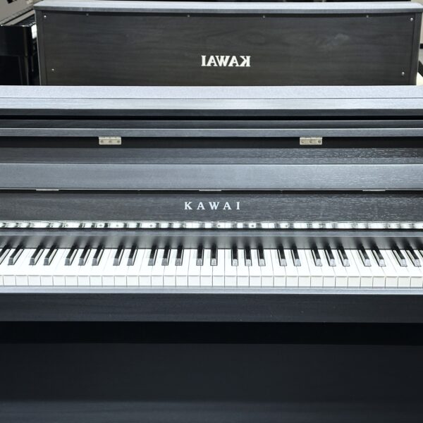 IMG_0961 KAWAI CA9900GP
