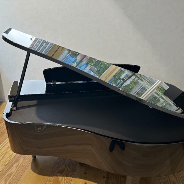 transparent-Photoroom (6) YAMAHA CLP-765GP