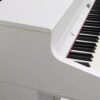 ROLAND HP702