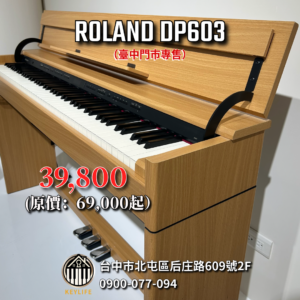 ROLAND DP603