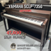 未命名-1 - 2026-05-02T122242.427 YAMAHA SCLP-7350