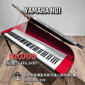 YAMAHA H01