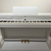 ROLAND RP501