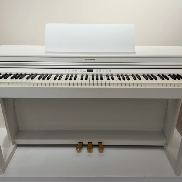 ROLAND RP501