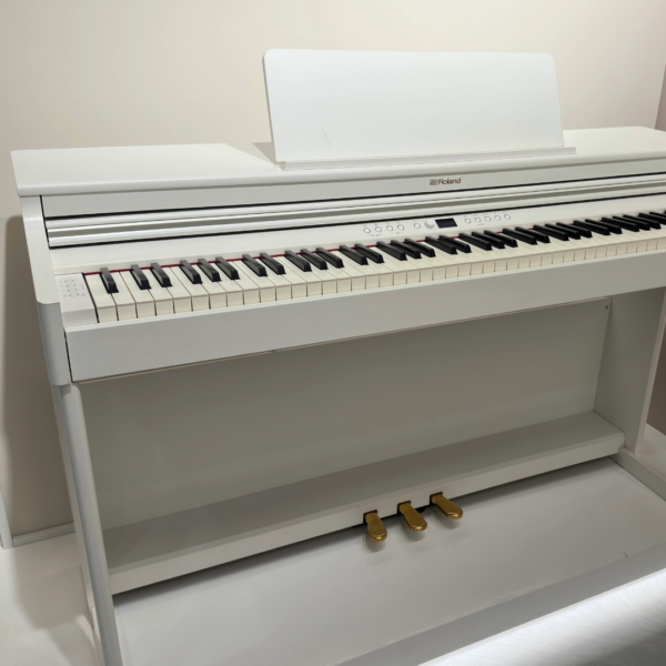 ROLAND RP501