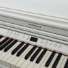 ROLAND RP501