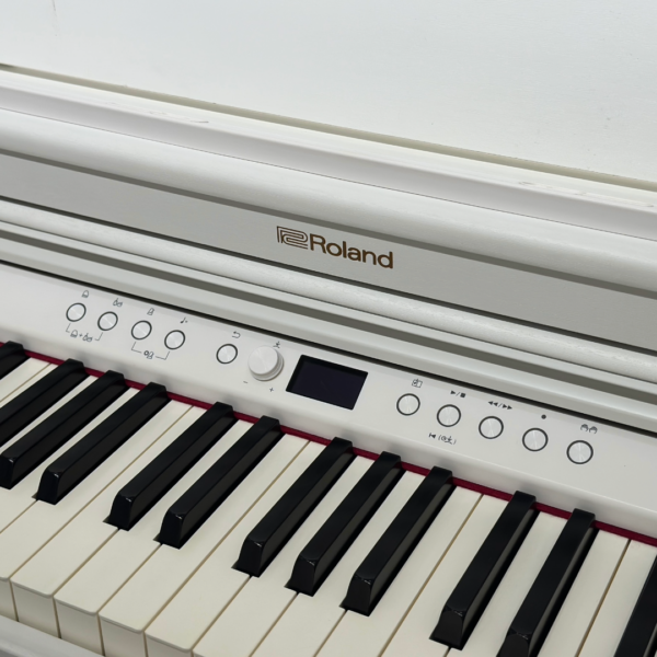 ROLAND RP501