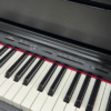 ROLAND HP605