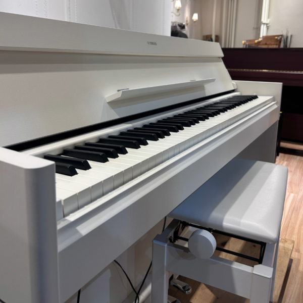 YAMAHA YDP-S55