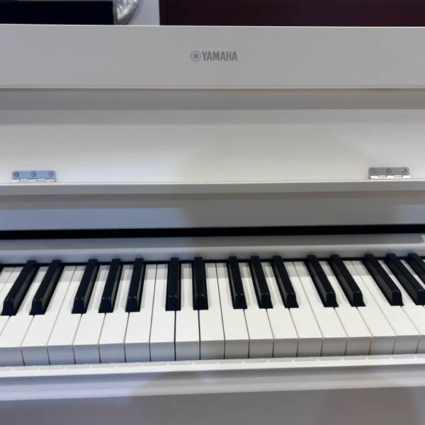 YAMAHA YDP-S55