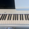未命名 - 2025年5月08日 17.27.36-3 - 2026-10-08T154055.692 YAMAHA P-225