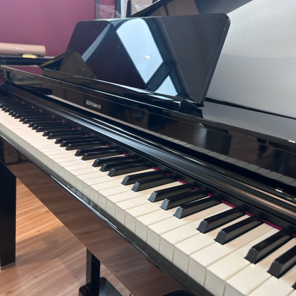ROLAND GP-3