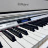 ROLAND GP607