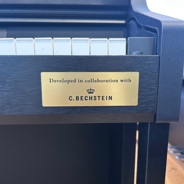 CASIO AP710
