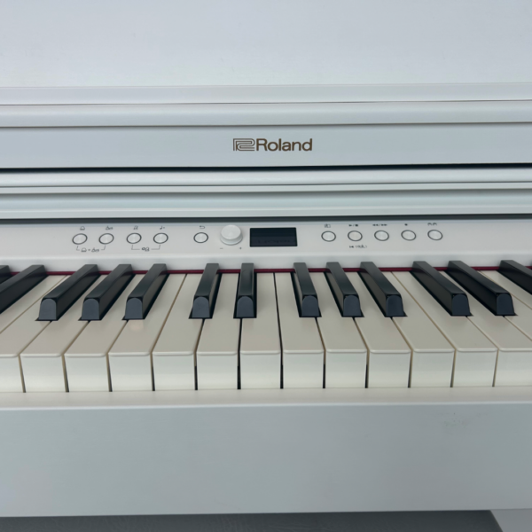 未命名 - 2025年5月08日 17.27.36-3 (6) ROLAND RP701