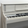 未命名-4 (36) ROLAND LX705