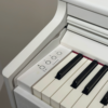ROLAND RP701