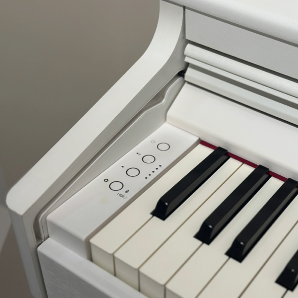 ROLAND RP701